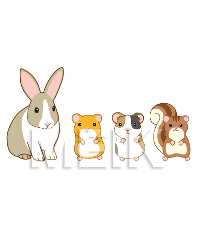 小動物のイラスト うさぎ モルモット ハムスター リス