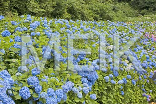 ����������