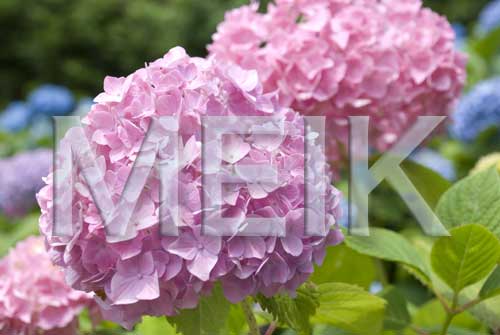 ����������