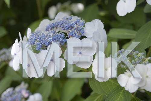 ����������