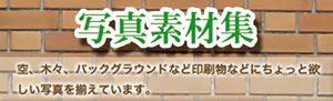 �ʐ^�f�ޏW